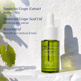 Mini Santorini Grape Velvet Skin Drink 15ML