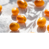 Mini Eau de Toilette Cashmere Kumquat 10ML Perfume