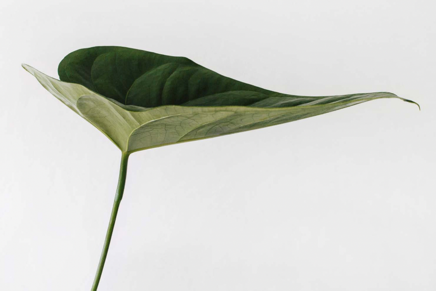 Sustainability