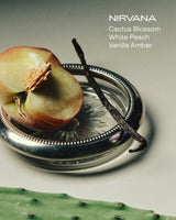 NIRVANA: The Hand Serum