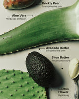 NIRVANA: The Hand Serum